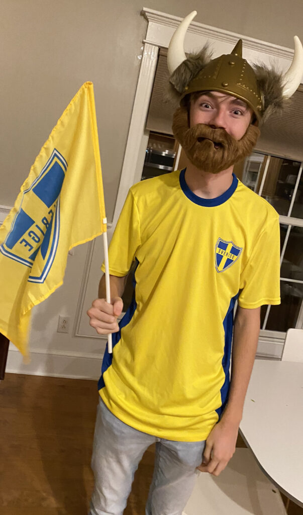 The Swedish Viking