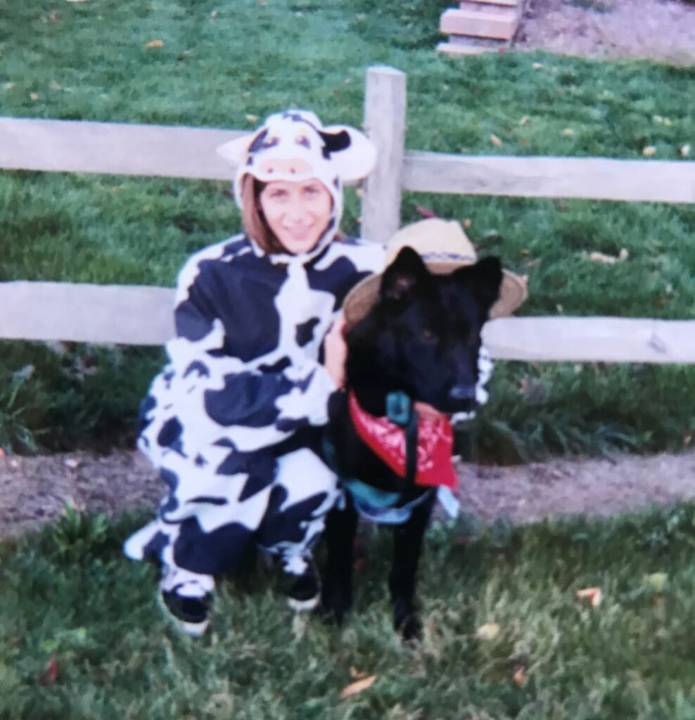 The Farmer and His Cow