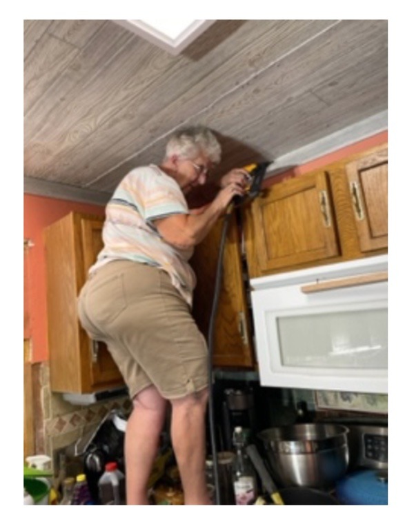 Spring Cleaning Mother in Law